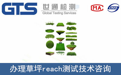 草坪reach測試